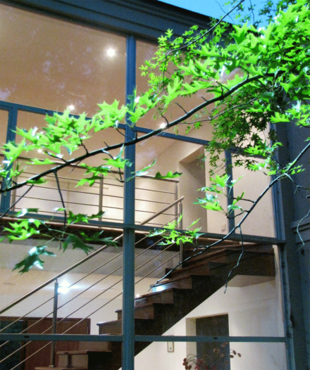 vista escalera de madera a traves de ventanal